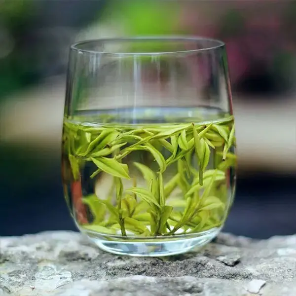 Zhejiang Anji White Tea-Green Tea - Image 3