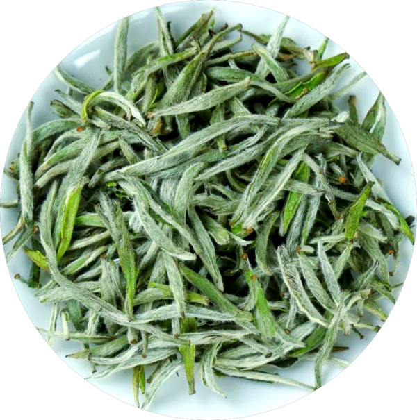 Baihao Yinzhen (Silver Needle)
