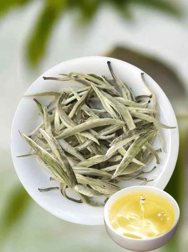 how to brew white tea