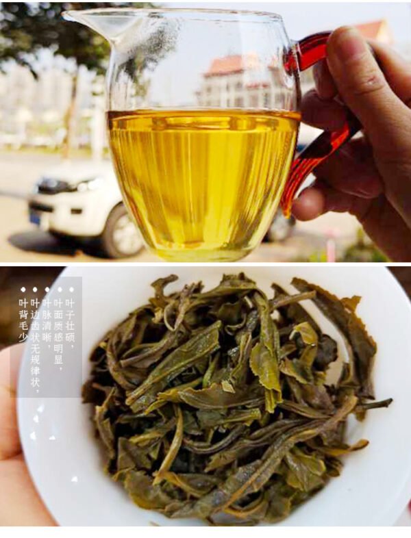 Yiwu Mountains Guafengzhai Pu-erh Raw Tea - Image 4