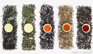 Flavor map and cultural symbols of the six major types of tea from around the world, including green, white, yellow, oolong, black, and dark tea.