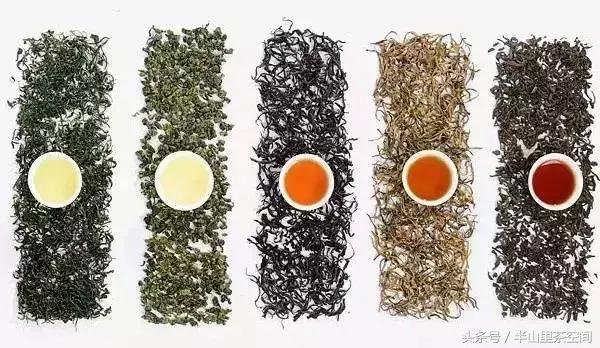 Flavor map and cultural symbols of the six major types of tea from around the world, including green, white, yellow, oolong, black, and dark tea.